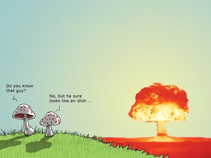 Mushrooms and explosion