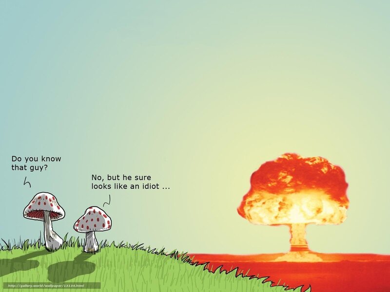 Mushrooms and explosion
