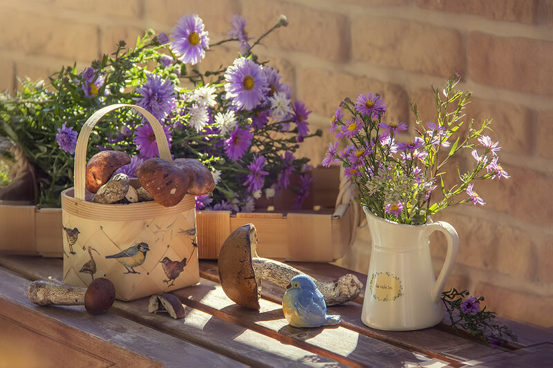 Mushrooms and Flowers — Purple