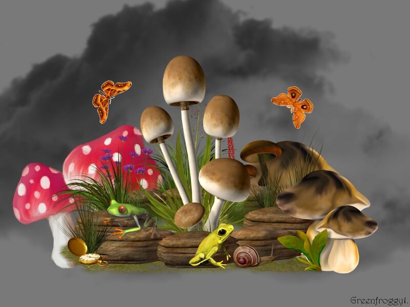 Mushrooms and Frogs