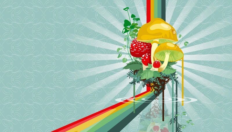 Mushrooms and Strawberries