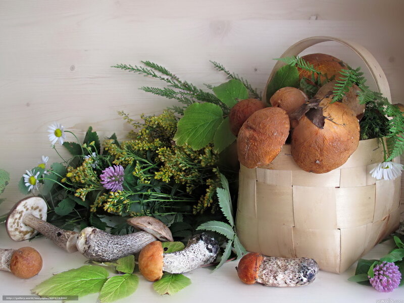 Mushrooms and wildflowers in basket