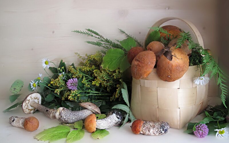Mushrooms and wildflowers in basket