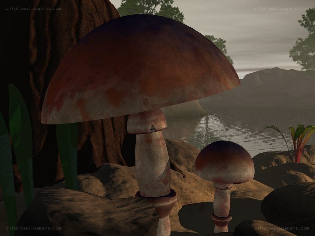 Mushrooms by the lake