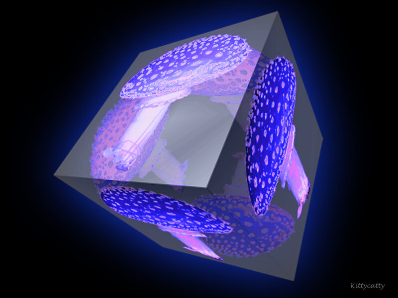 Mushrooms in a Cube