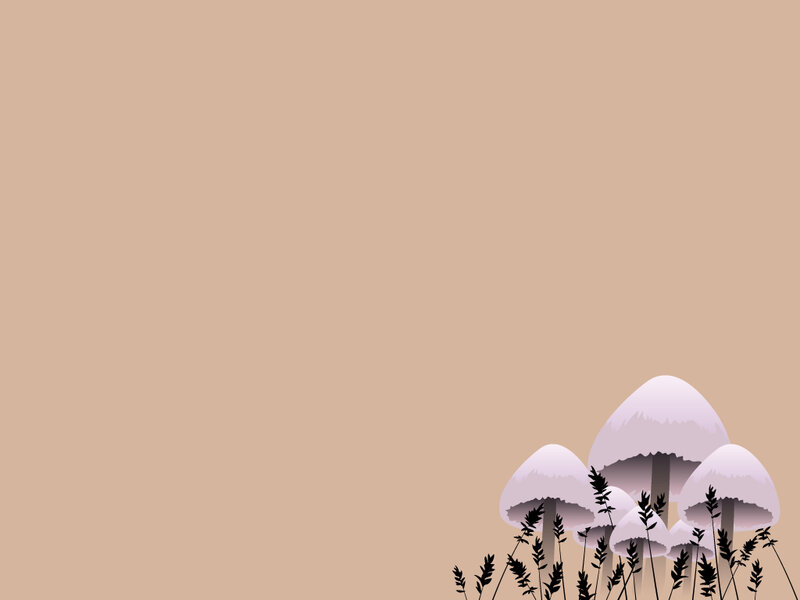 mushrooms in a field