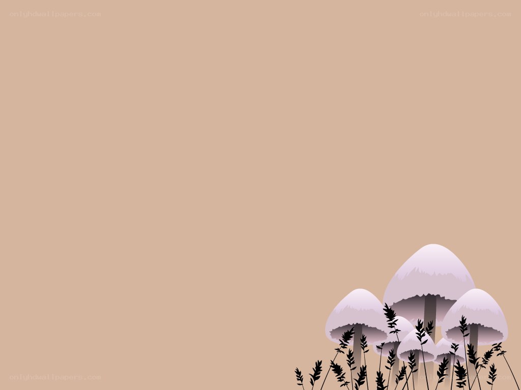 mushrooms in a field