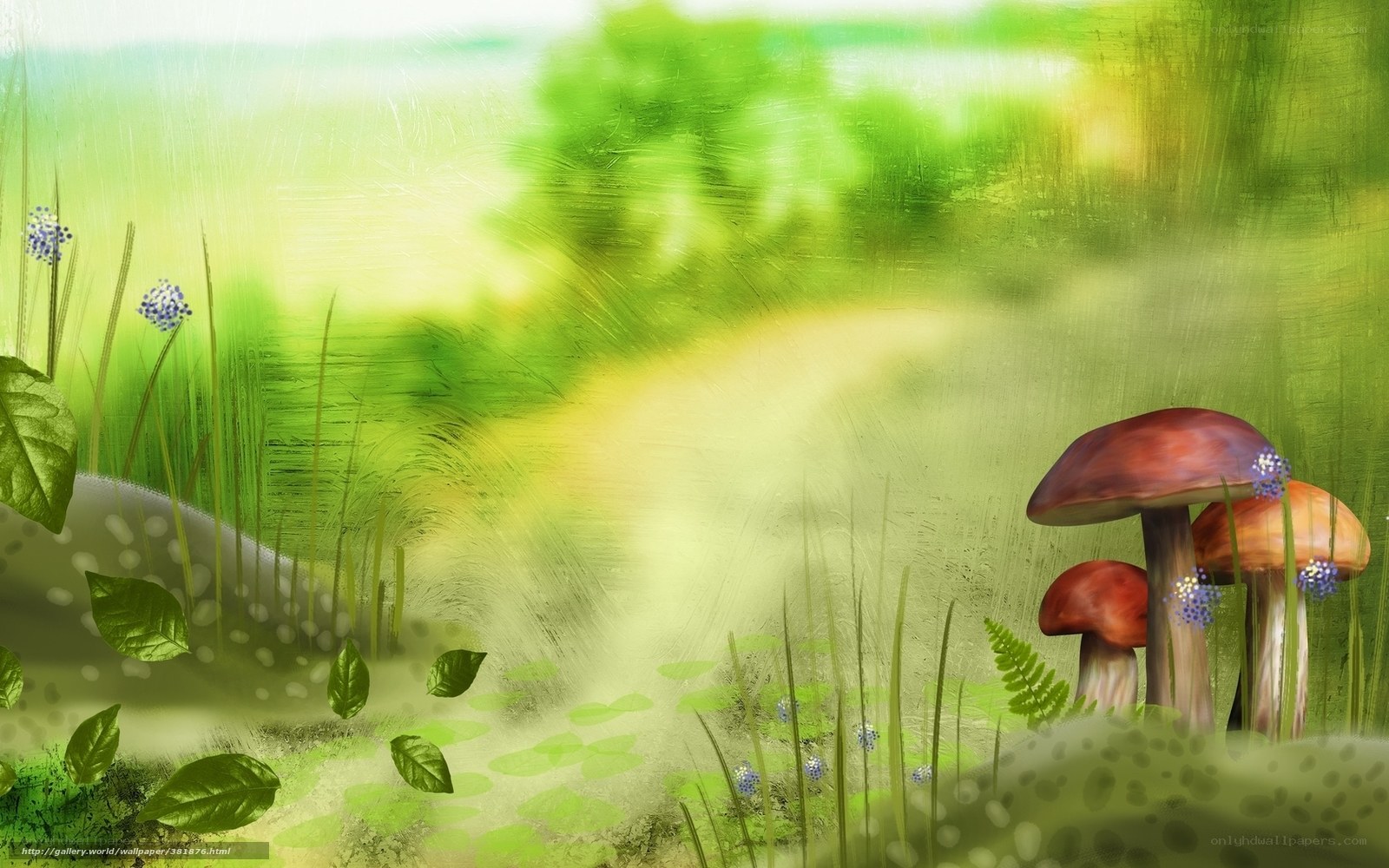 Mushrooms in a green forest