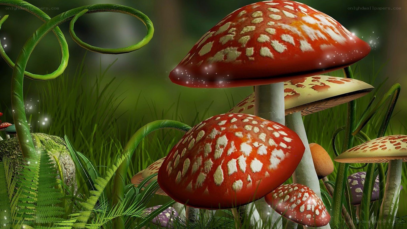 mushrooms in a magical forest