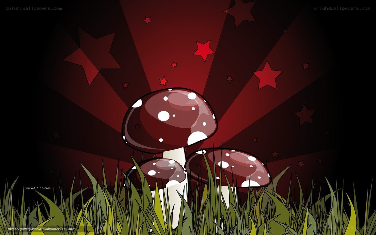 Mushrooms in a starry night