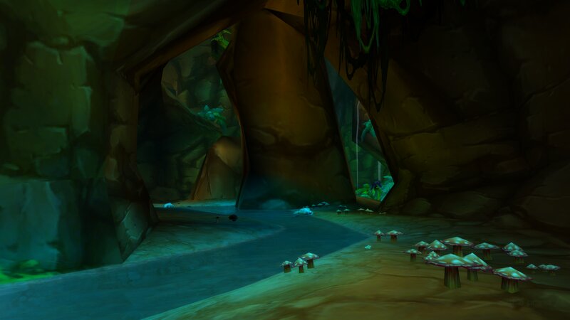 Mushrooms in Cave