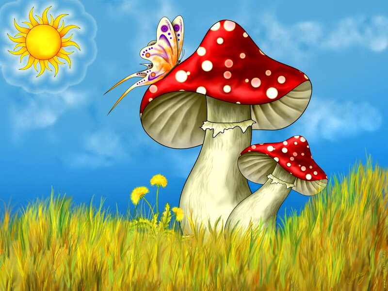 Mushrooms in Field