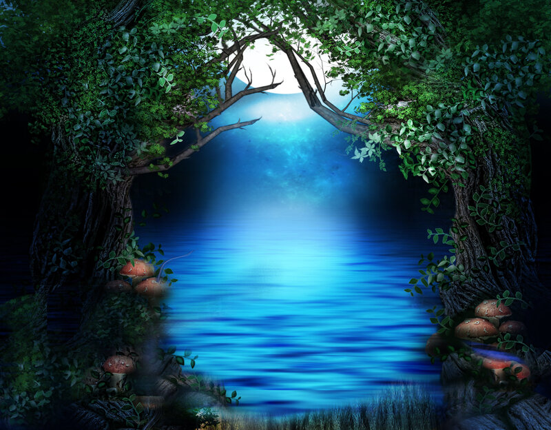 Mushrooms in Forest — Blue
