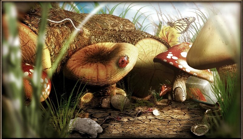 Mushrooms in Forest — Brown