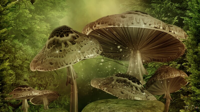 Mushrooms in Forest — Green, Magical, Digital Art