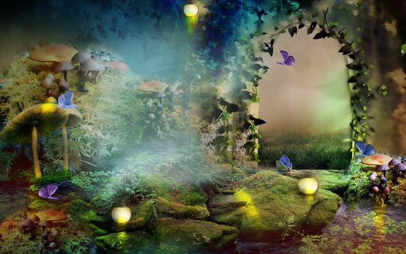 Mushrooms in Forest — Green, Magical, Night