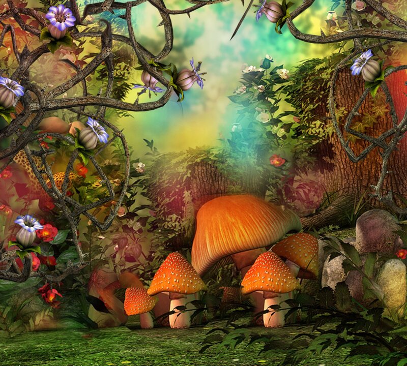 Mushrooms in Forest — Green, Magical