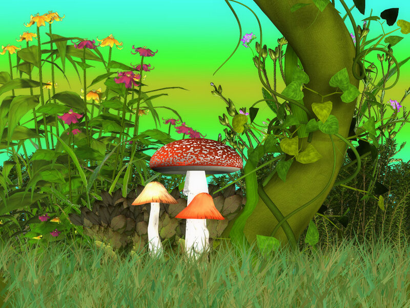 Mushrooms in Forest — Green, Serene, Afternoon