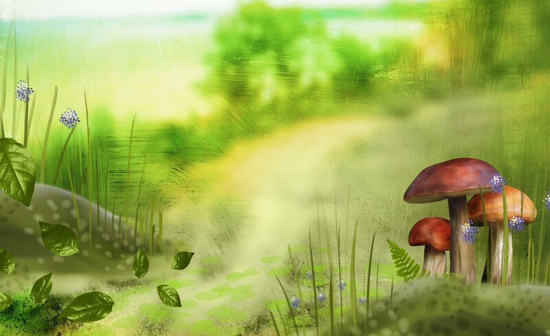 Mushrooms in Forest — Green, Serene, Morning