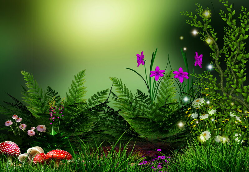 Mushrooms in Forest — Green, Serene, Night