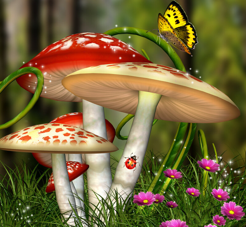 Mushrooms in Forest — Green, Whimsical