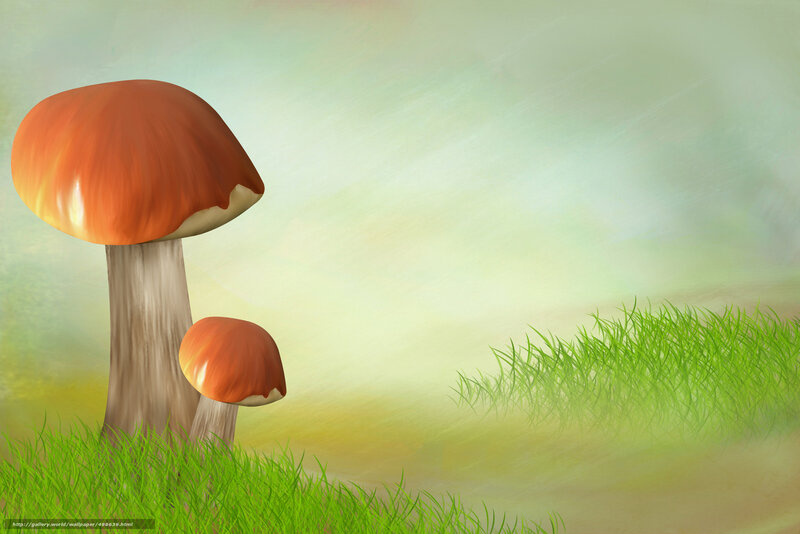 Mushrooms in Grass — Green, Serene, Morning