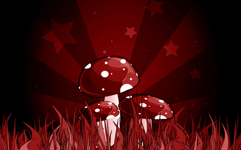Mushrooms in Grass — Red, Dramatic