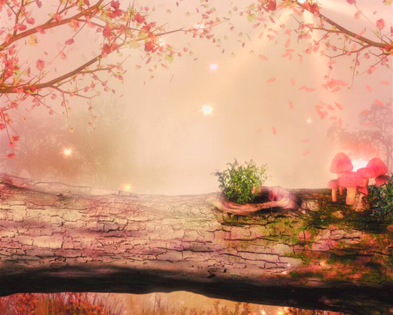 Mushrooms on Log — Pink