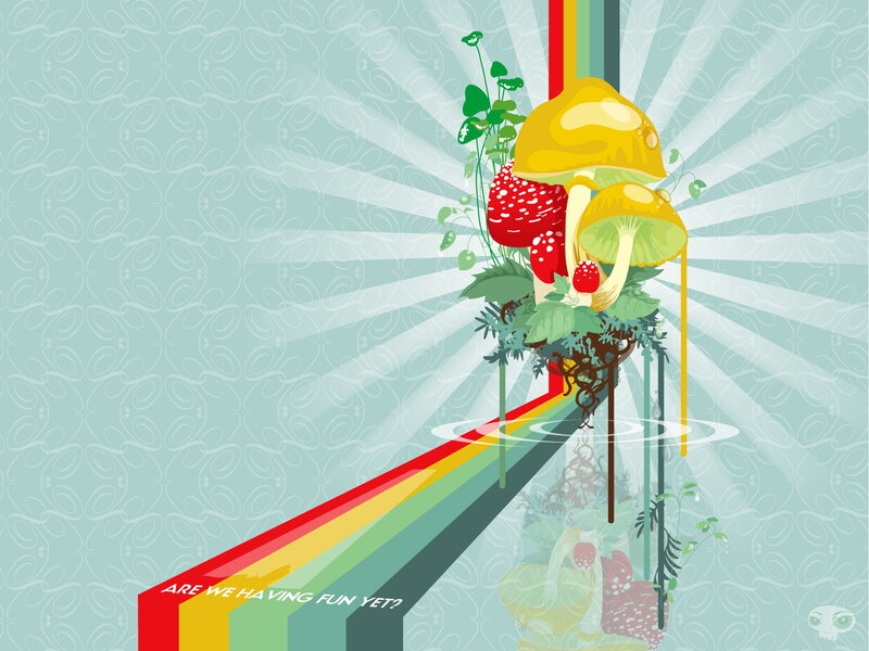 Mushrooms on Rainbow Path