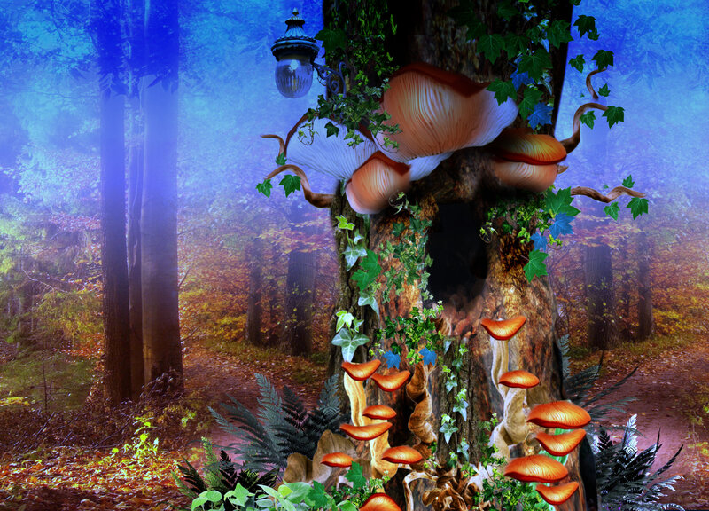 Mushrooms on Tree Trunk — Blue