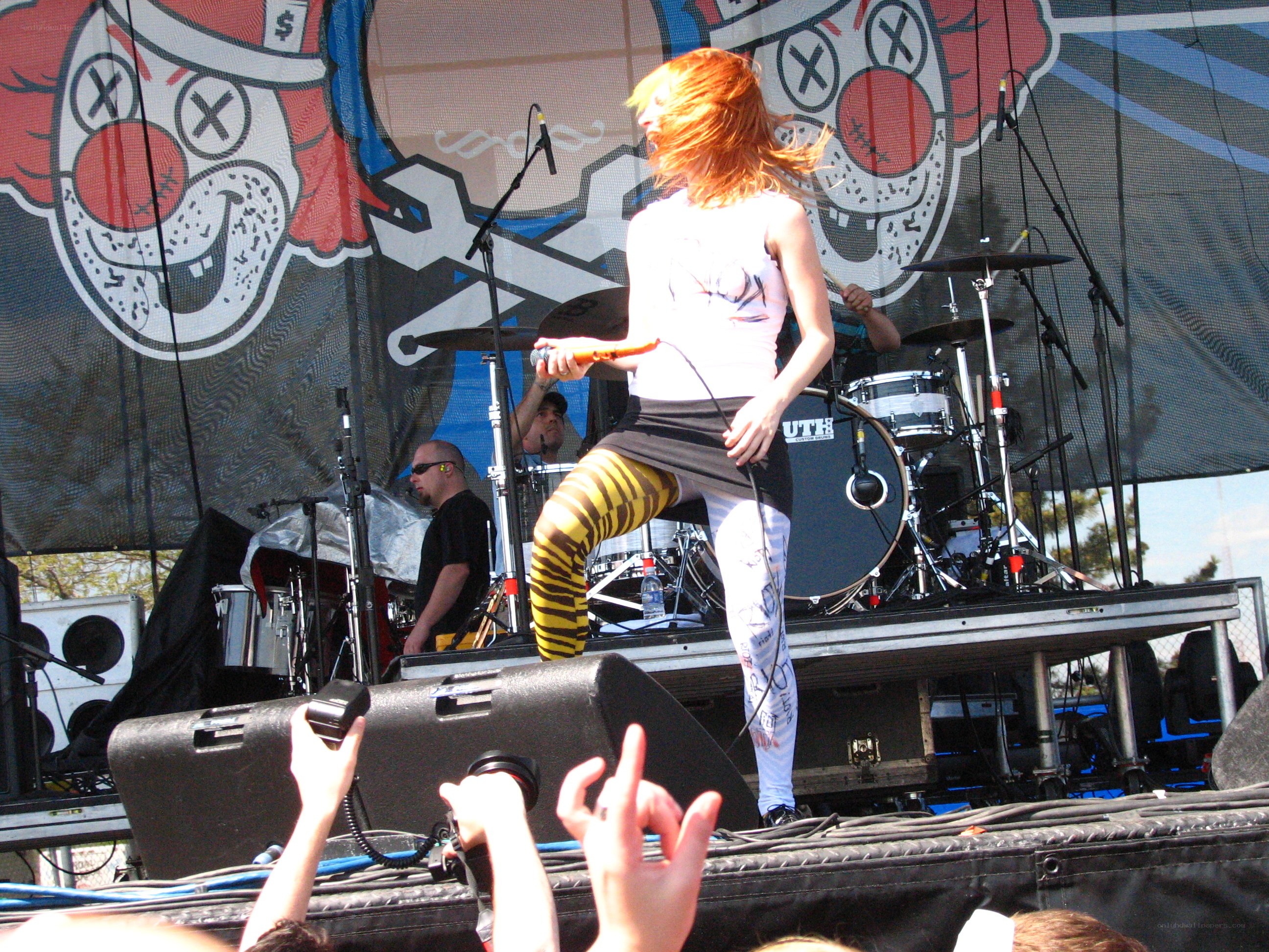 Music festival performance