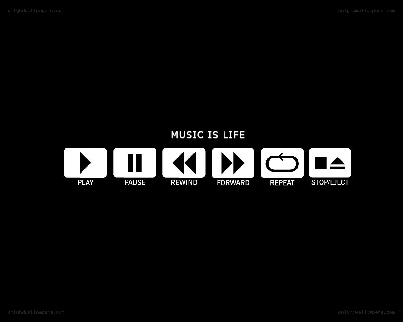 Music player controls
