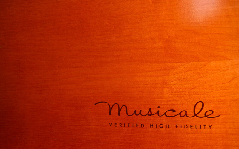 Musical high-fidelity logo on wood