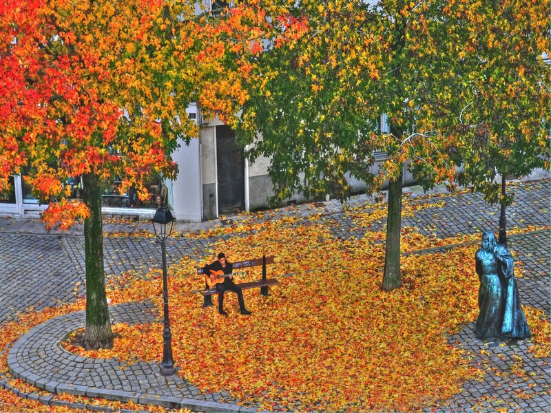 Musician in autumn leaves