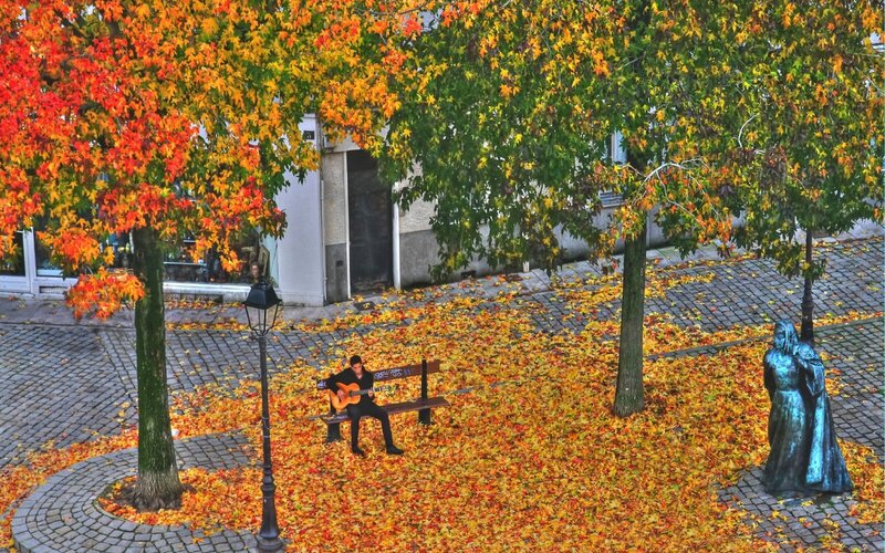 Musician in autumn park