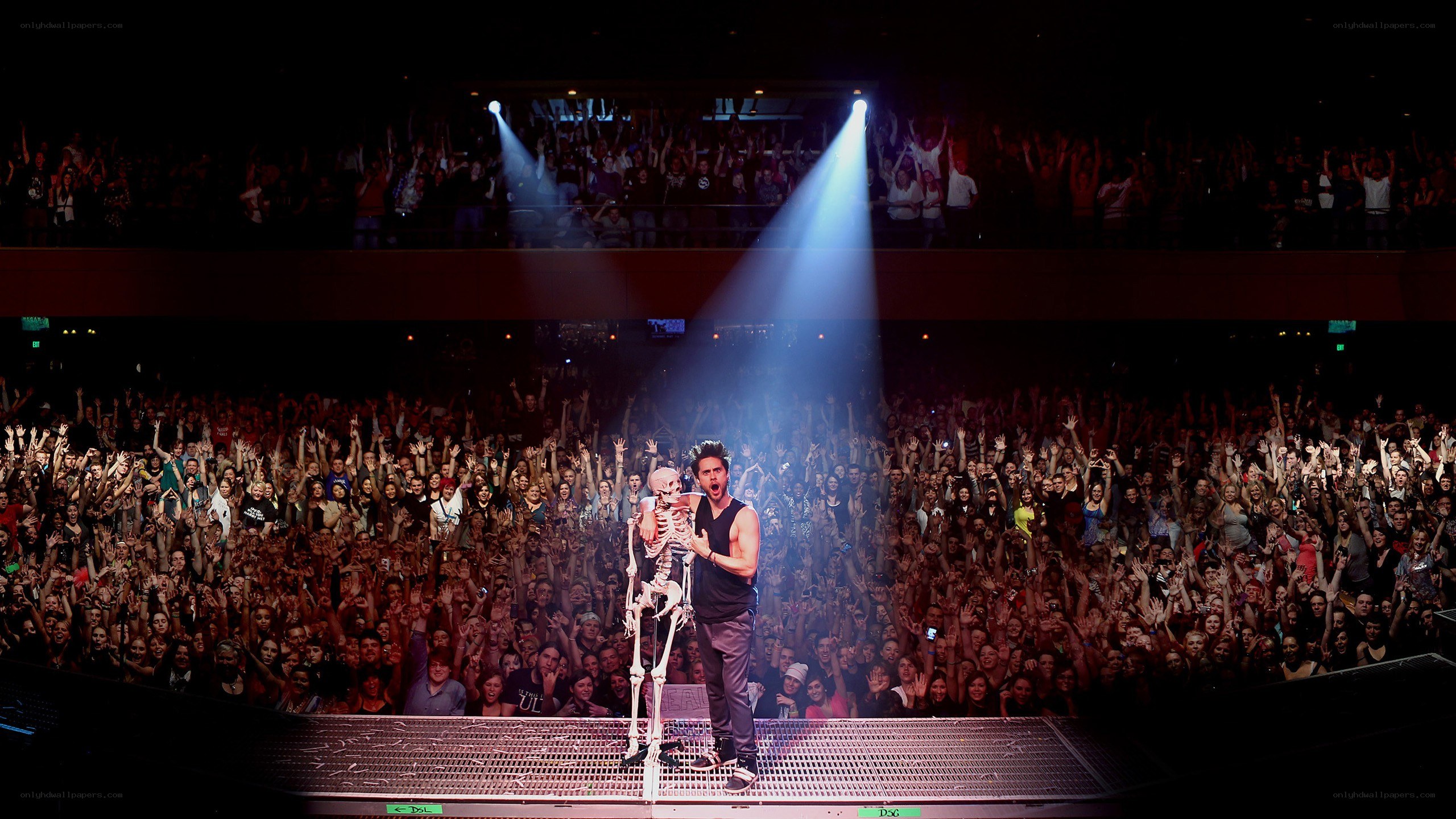Musician on stage with skeleton