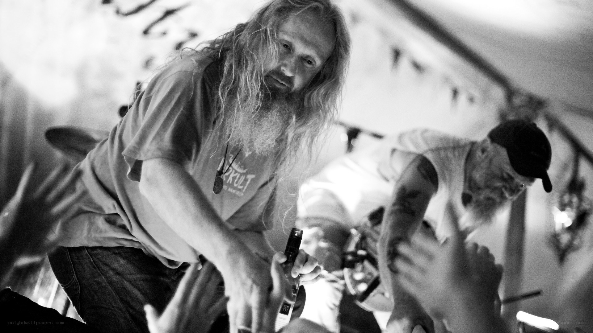Musician performing at festival
