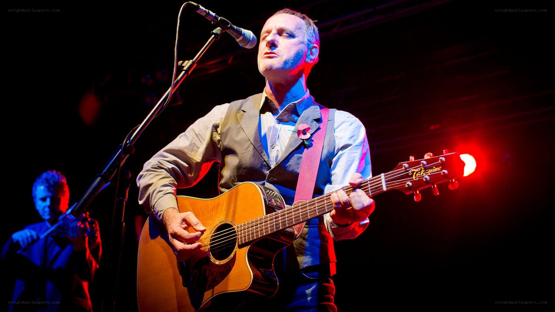 Musician performing on stage