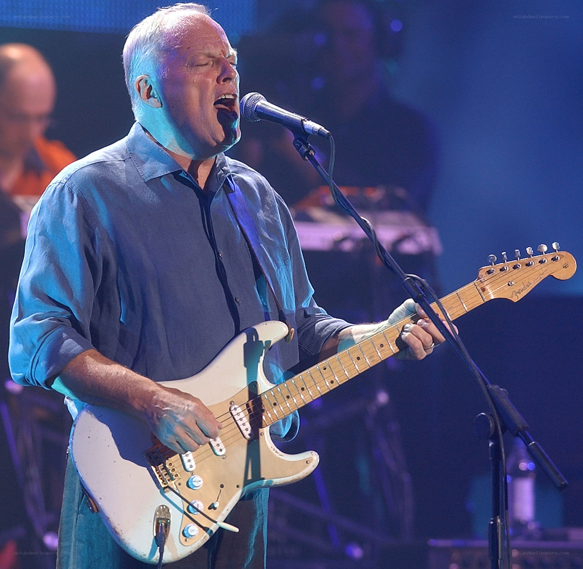 Musician performing on stage