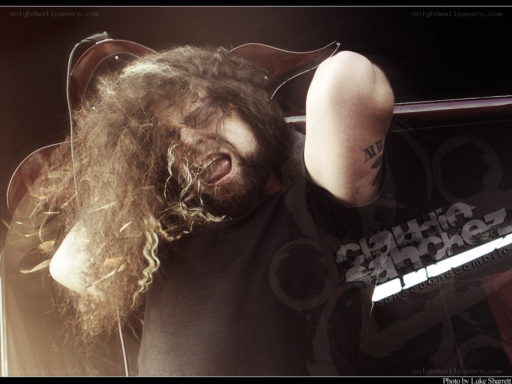 musician performing on stage