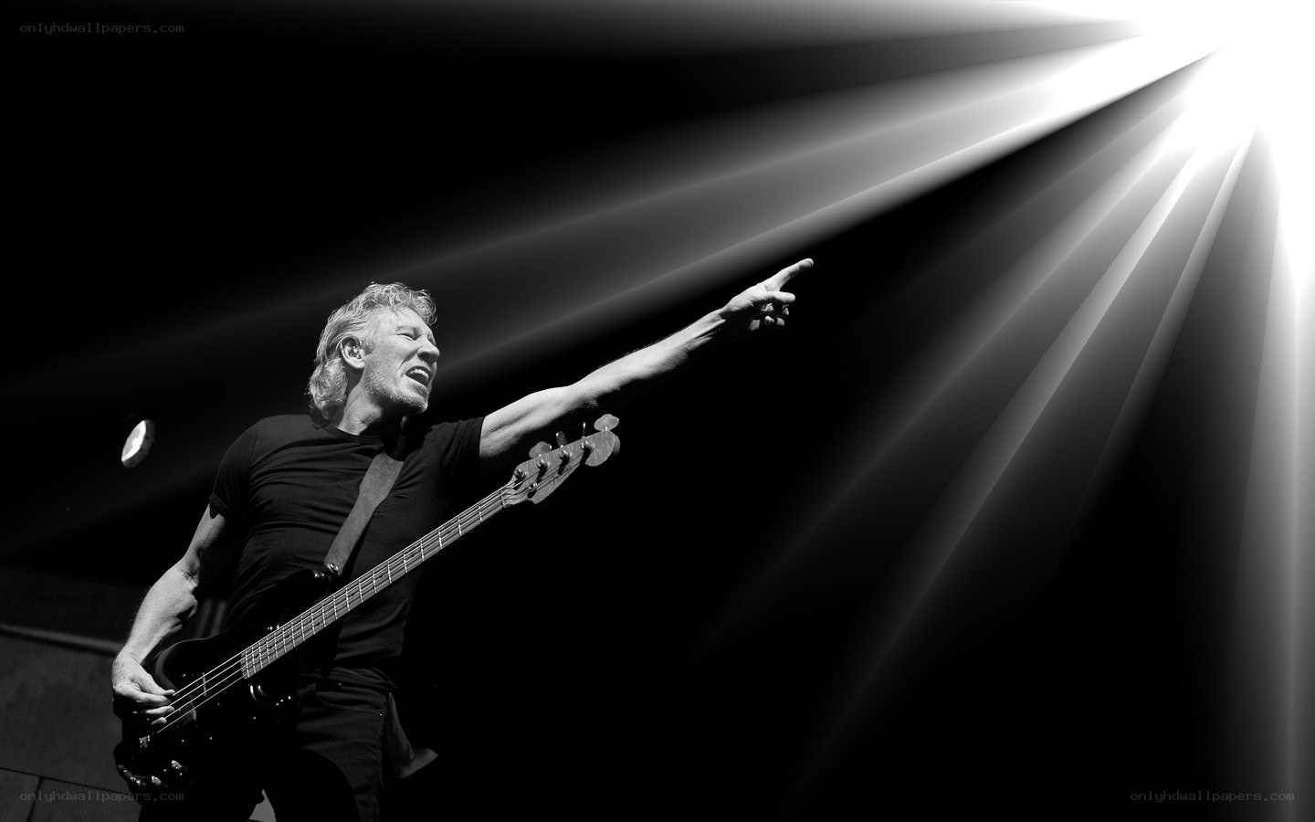 musician performing on stage