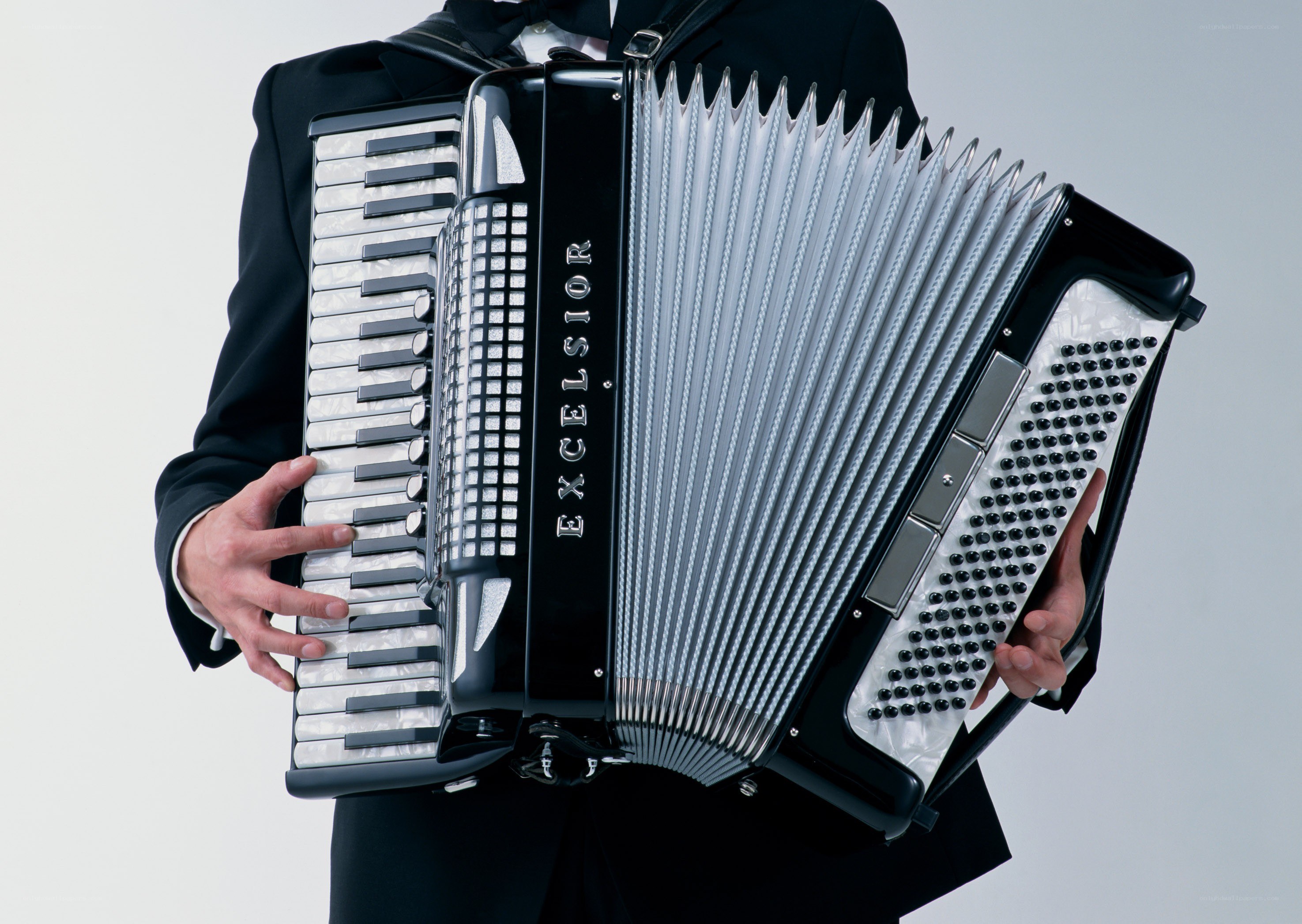 Musician playing accordion