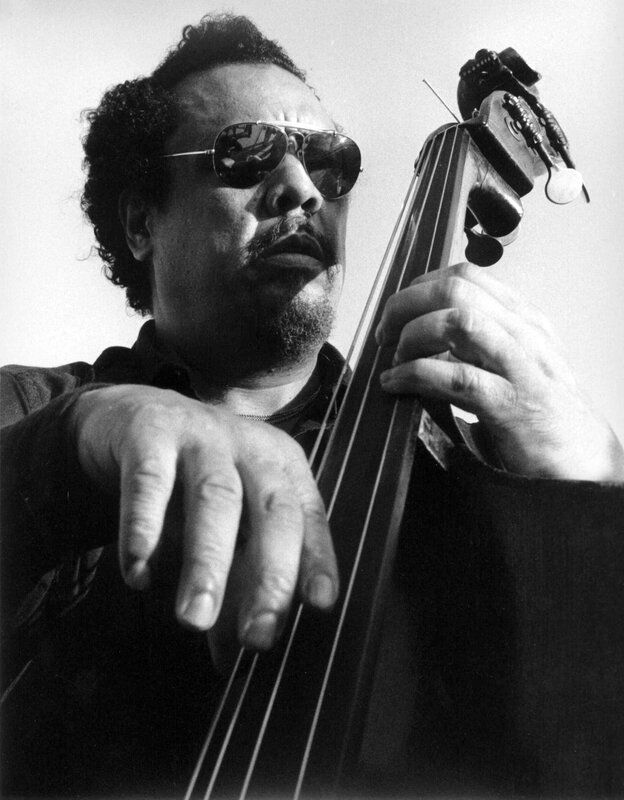 Musician playing double bass