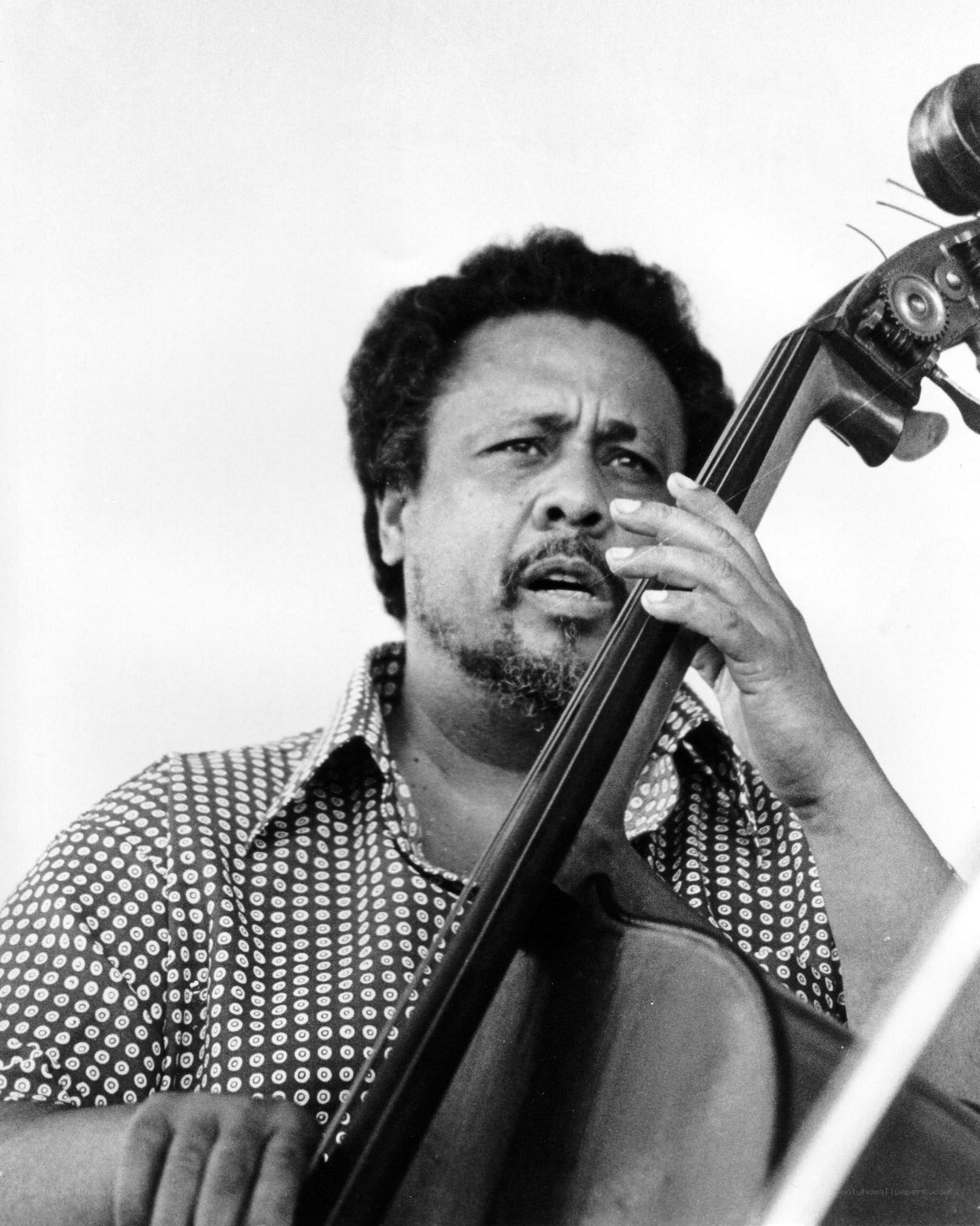 musician playing double bass