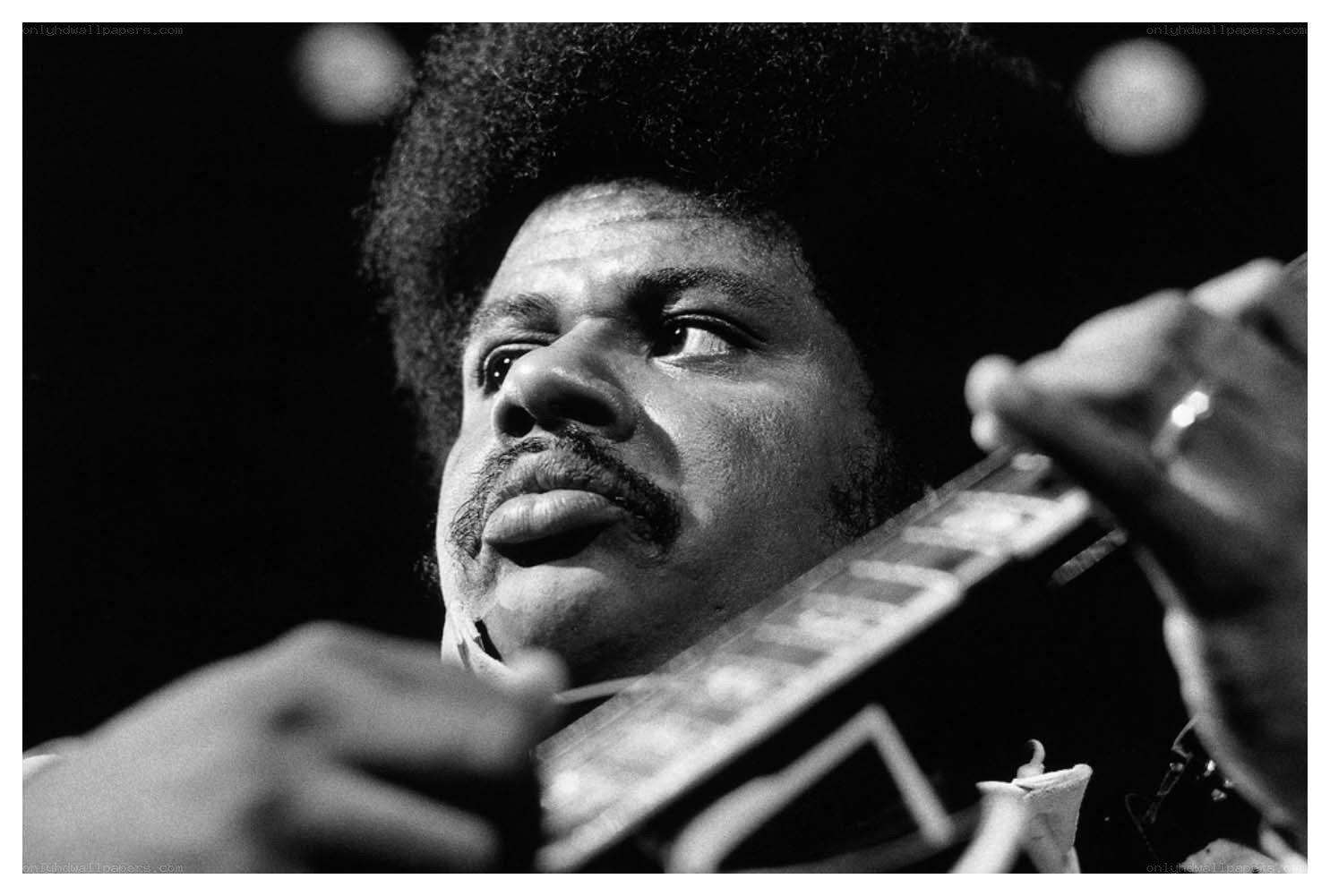 musician playing guitar