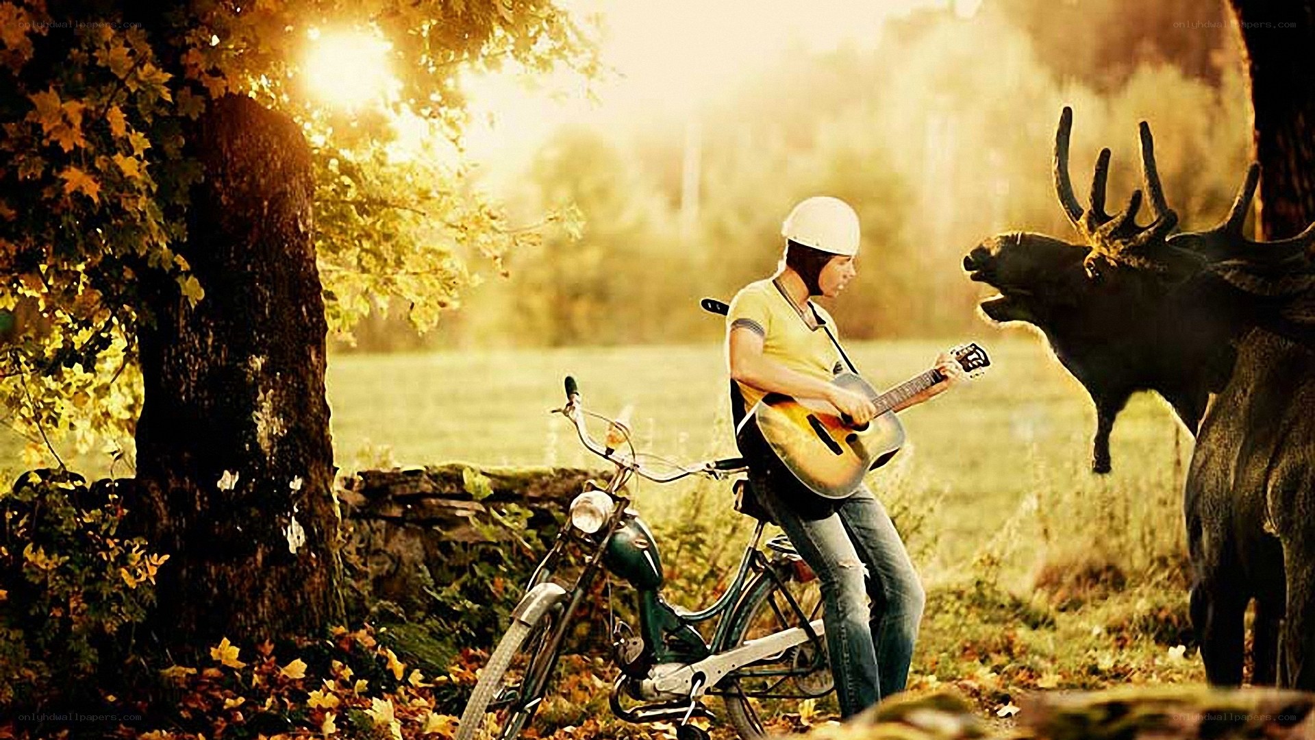 Musician with guitar and deer