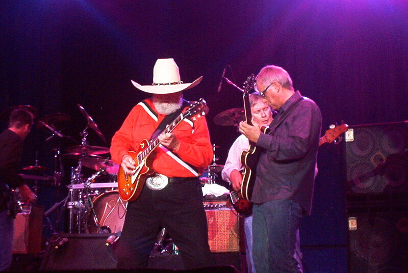 Musicians on Stage — Purple