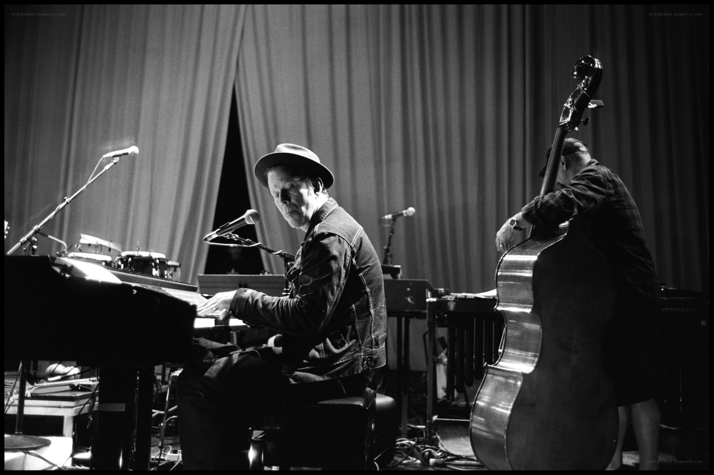Musicians performing on stage