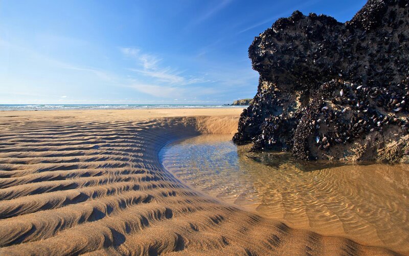Mussel-covered Rock on Beach