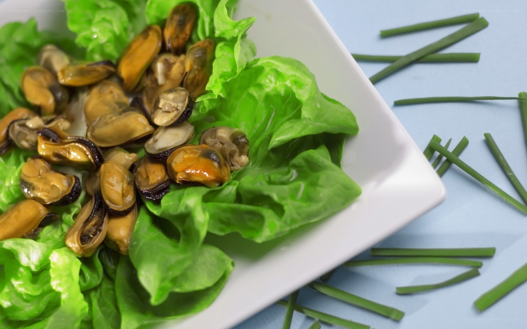 mussels on lettuce salad